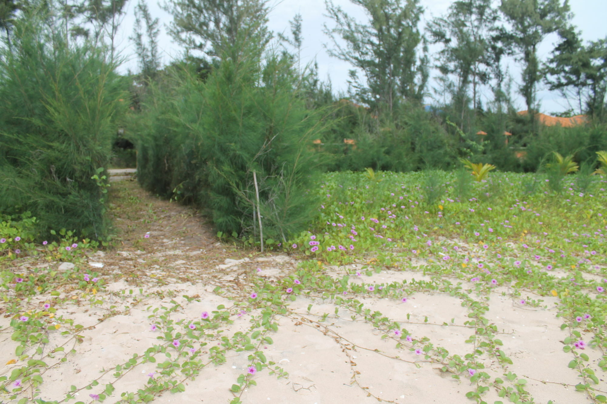 Doi Su Resort Ham Thuan Nam Bagian luar foto